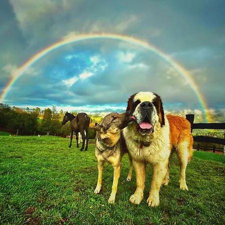 Chalet Casa La Alemana Lierganes